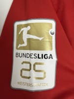 Bayern München 2017 Match Worn / Issued Shirt — Douglas Costa — fabric detail