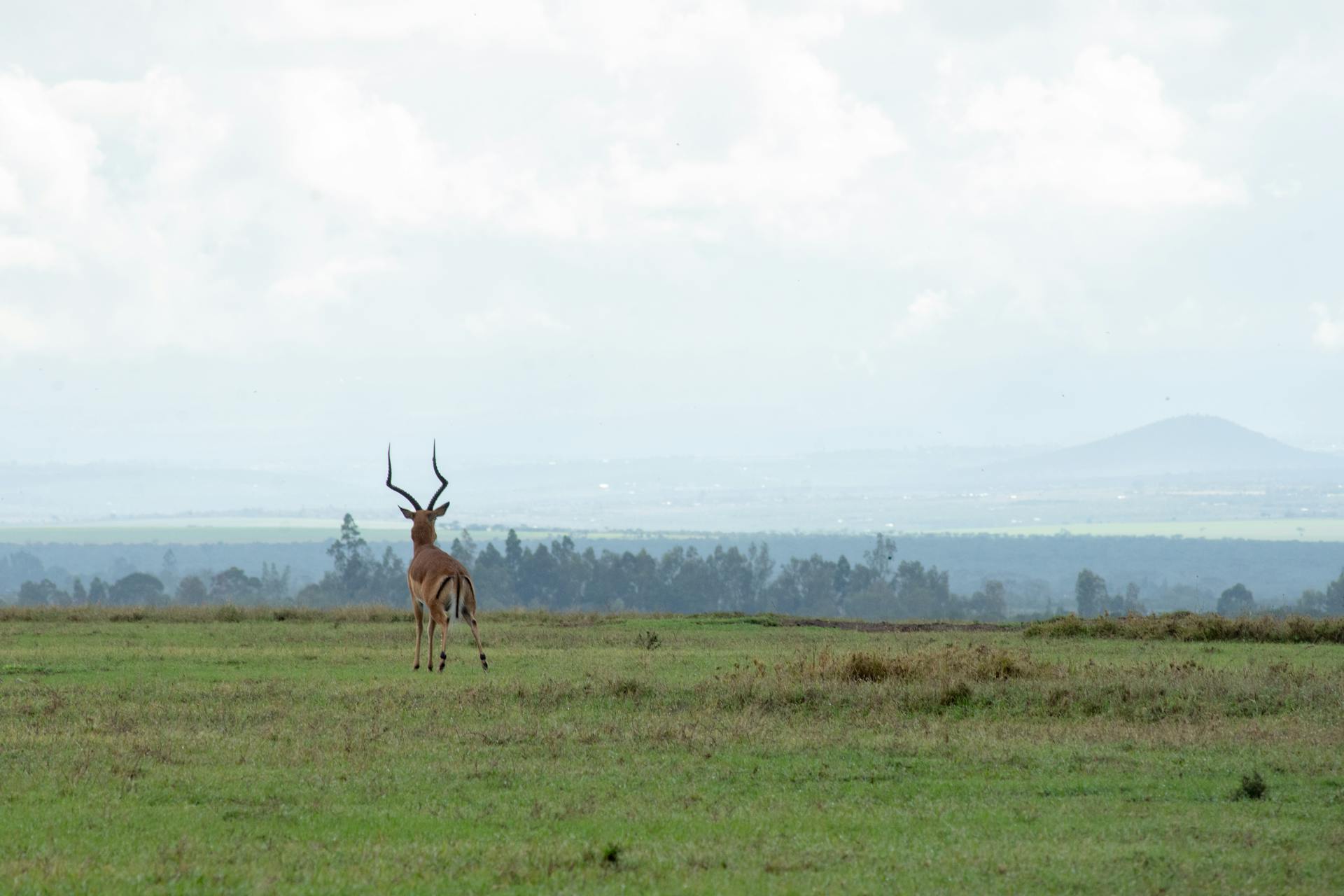 Why Kenya's Highland Escapes Are the Perfect Alternative to Coastal Getaways