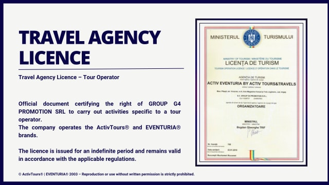 Travel licence