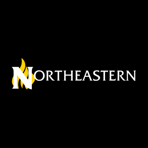 Northeastern College