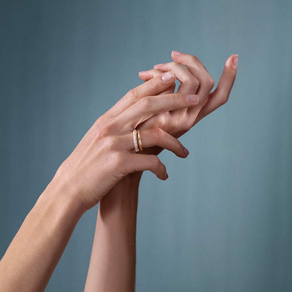 352 0938f01d8b a2681 401 nature rings laura3 large