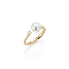Ring H2O, Referenz 5-22006-02