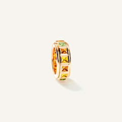 Tamara Comolli Curriculum Vitae 44 Ring 'Indian Summer', Referenz R-CV44-14-IS-rg