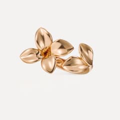 Pasquale Bruni Giardini segreti ring, Referenz 16672R