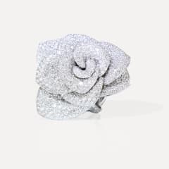 Pasquale Bruni Rosina ring, Referenz 16767B