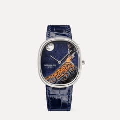 Patek Philippe Ref. 5738/50G-044, Referenz 5738/50G-044