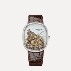 Patek Philippe Ref. 5738/50G-049, Referenz 5738/50G-049