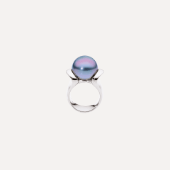 Tamara Comolli Tahitian Pearl Medium Ring aus 18K Weissgold, Referenz R-Tah-15.48bTah-wg