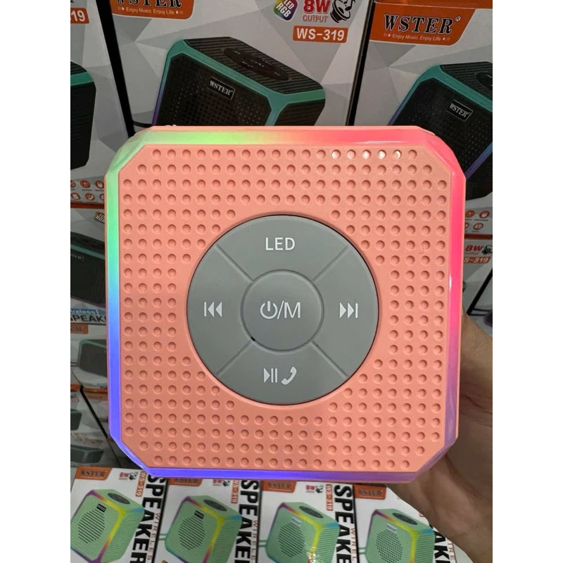 Loa Bluetooth WSTER WS - 319