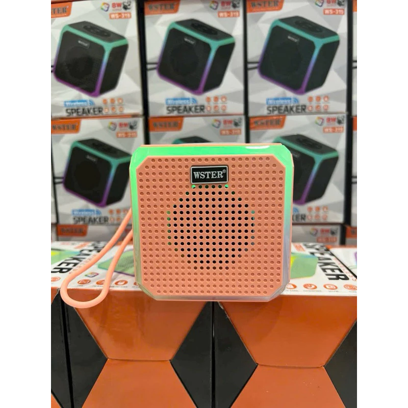 Loa Bluetooth WSTER WS - 319