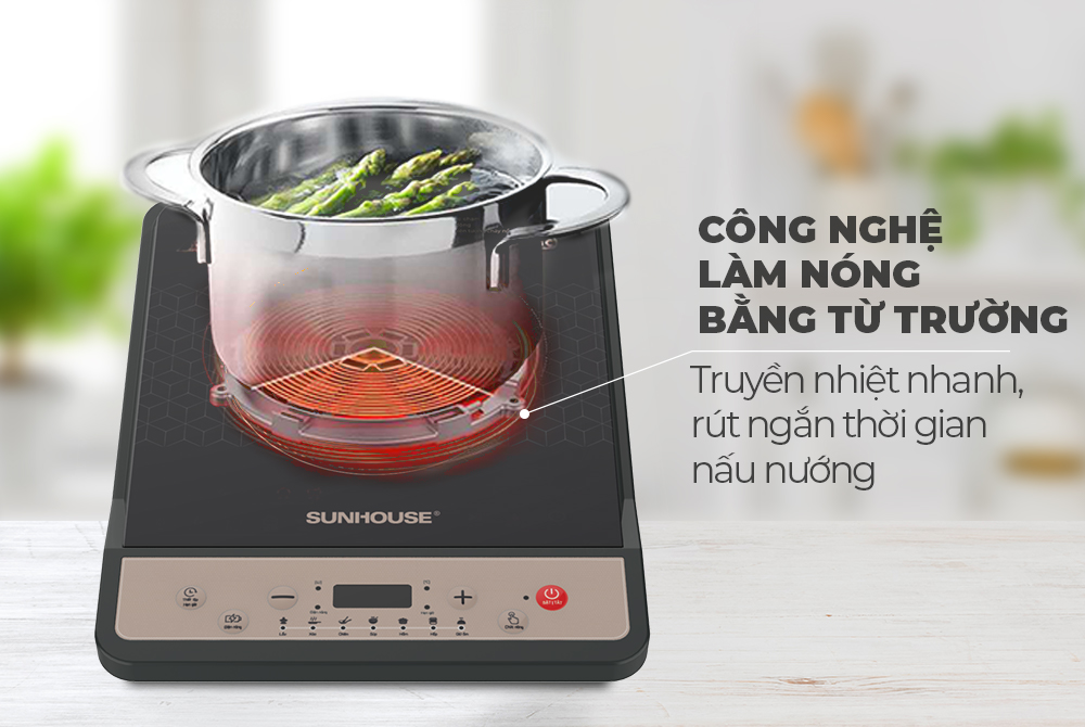 Bếp từ đơn Sunhouse SHD6160