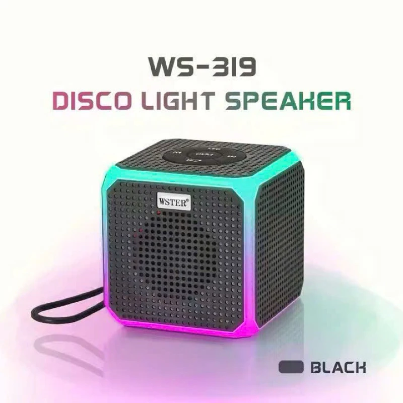 Loa Bluetooth WSTER WS - 319
