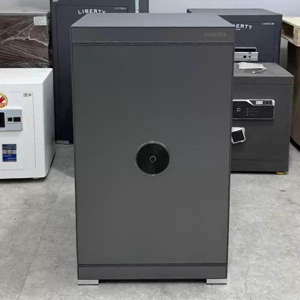 Két sắt Philips SBX202 7C0 - 70Kg