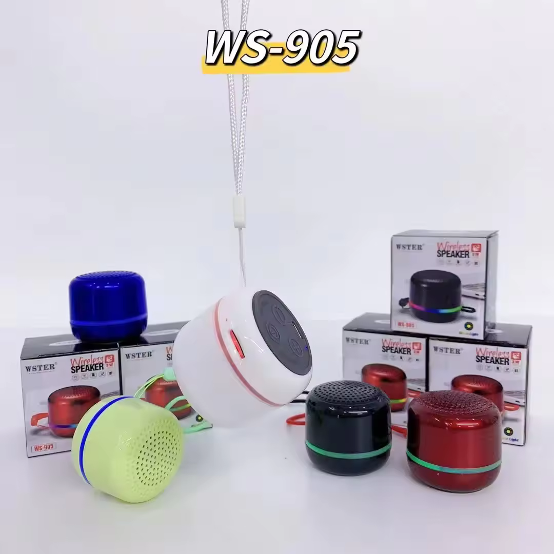 Loa bluetooth WSTER WS-905