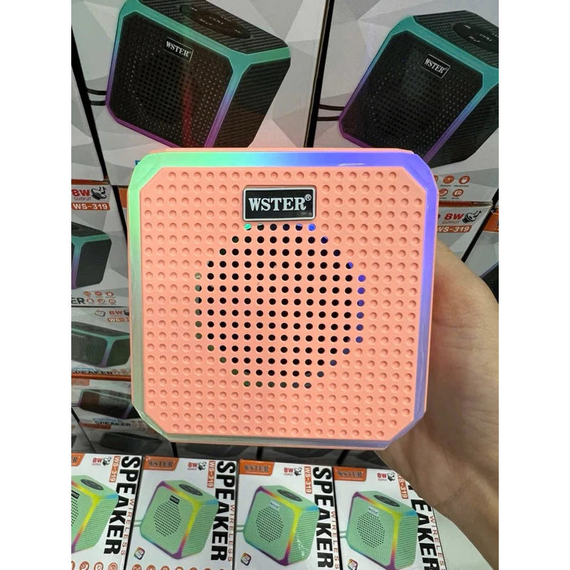 Loa Bluetooth WSTER WS - 319