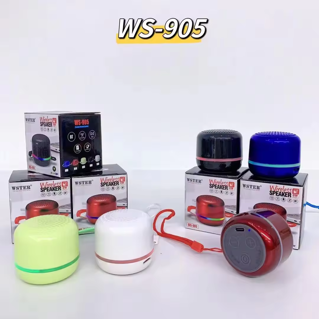 Loa bluetooth WSTER WS-905