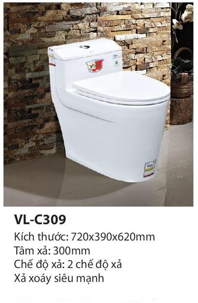 Cầu liền khối VL-C309 VISLER
