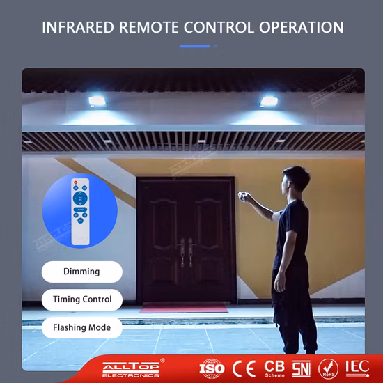 Đèn NLMT pha mắt ngọc 300W