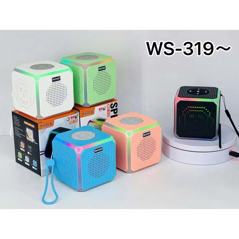 Loa Bluetooth WSTER WS - 319