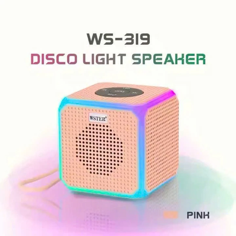 Loa Bluetooth WSTER WS - 319