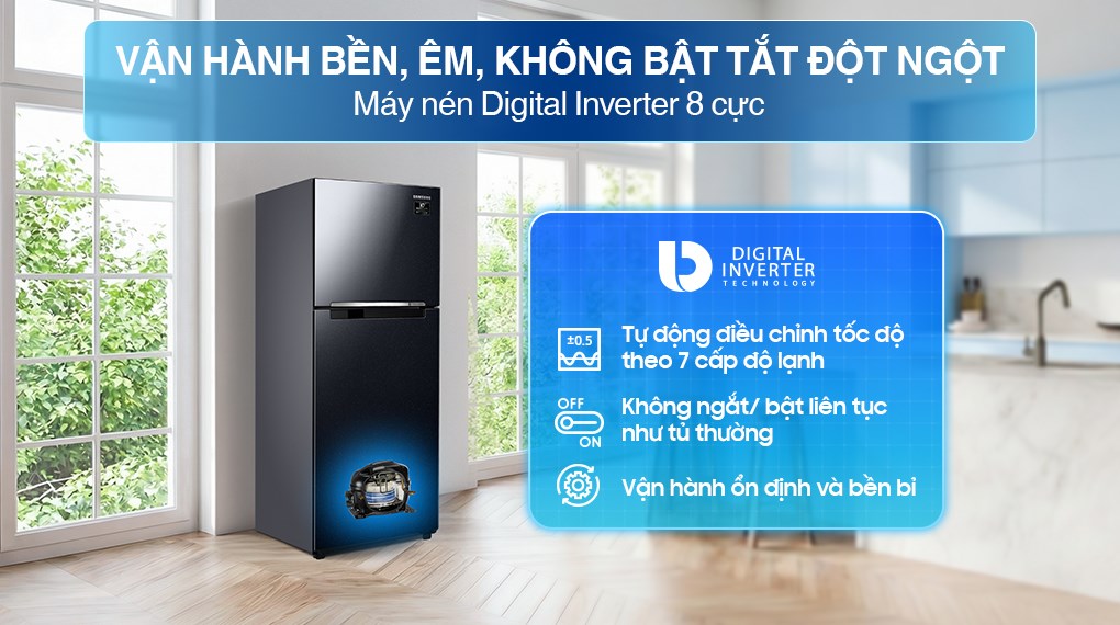 Tủ lạnh Samsung Inverter 236 lít RT22M4032BY/SV
