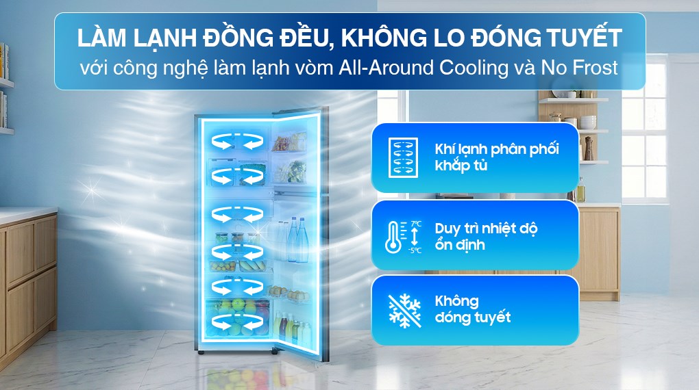 Tủ lạnh Samsung Inverter 236 lít RT22M4032BY/SV