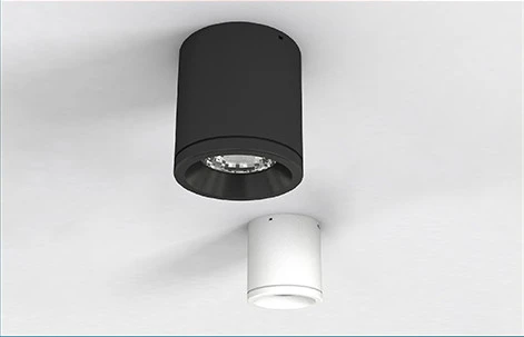 Đèn LED Downlight Nổi Trần 110/15W NT01