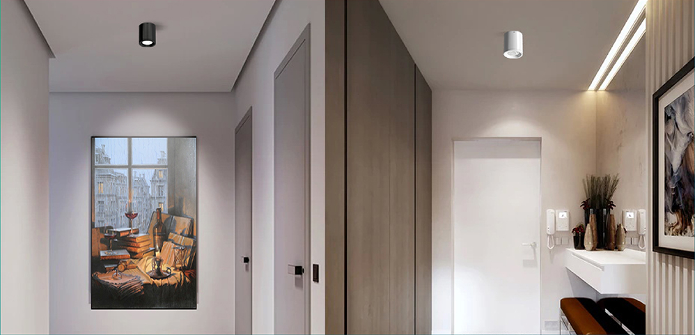 Đèn led ốp trần NT01 110/12W Rạng Đông
