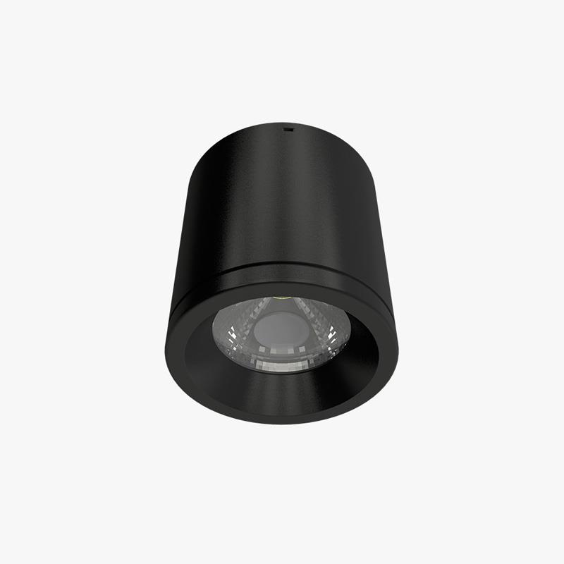 Đèn led ốp trần NT01 110/12W Rạng Đông