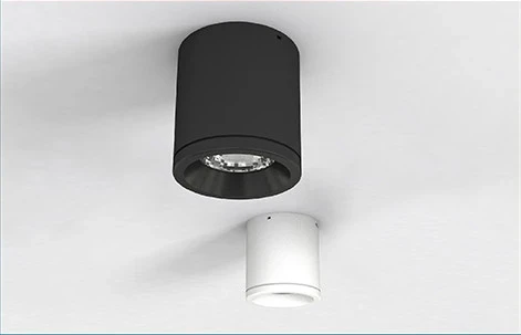 Đèn led ốp trần NT01 110/12W Rạng Đông