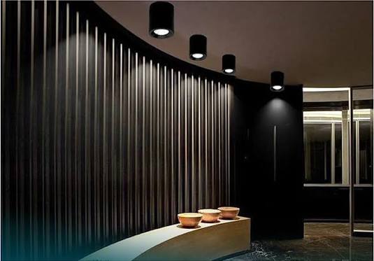 Đèn Downlight nổi trần NT01 Rạng Đông