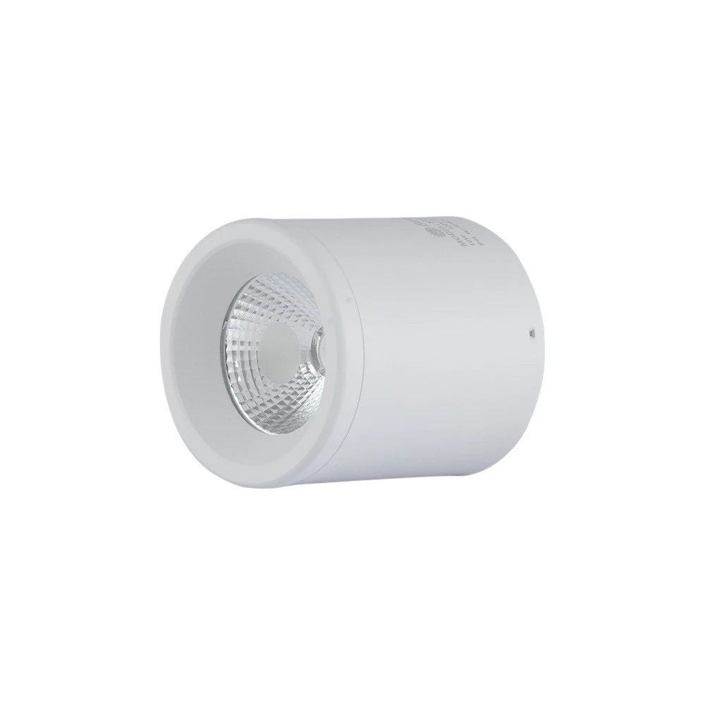Đèn LED Downlight Nổi Trần 110/15W NT01