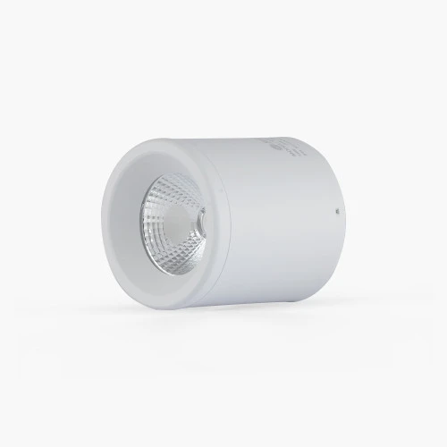 Đèn Downlight nổi trần NT01 Rạng Đông