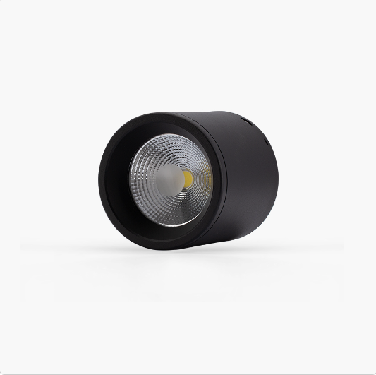 Đèn led ốp trần NT01 110/12W Rạng Đông