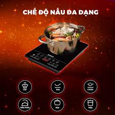 Bếp điện từ đơn NICS647 NANOCO