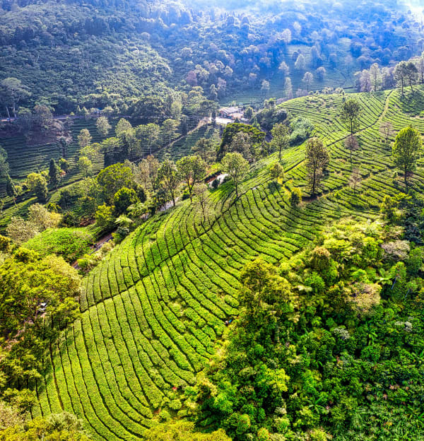 Food in Darjeeling