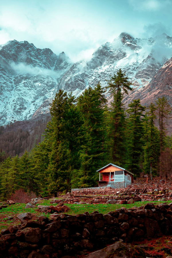 Food in Kasol
