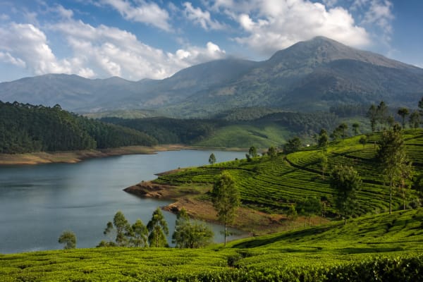 Food in Munnar