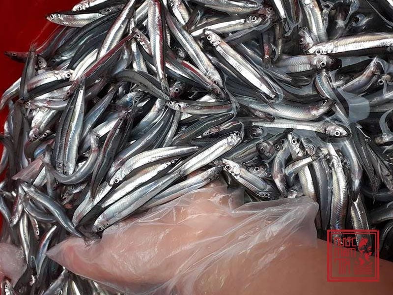 cách làm nước mắm từ cá biển