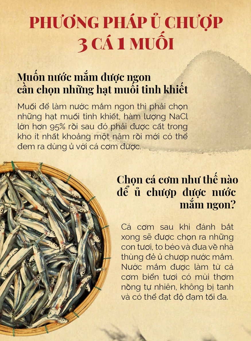 ủ chượp nước mắm