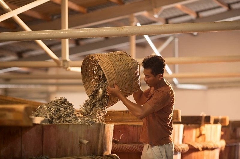 trộn cá với muối