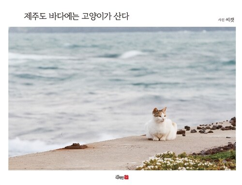 제주도 바다에는 고양이가 산다.jpg