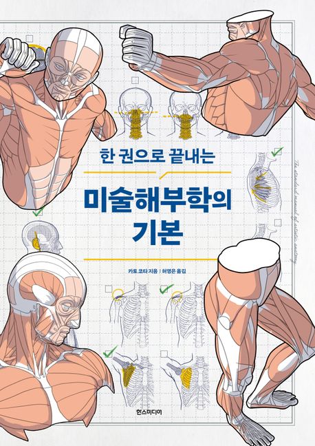 미술 해부학의 기본.jpg