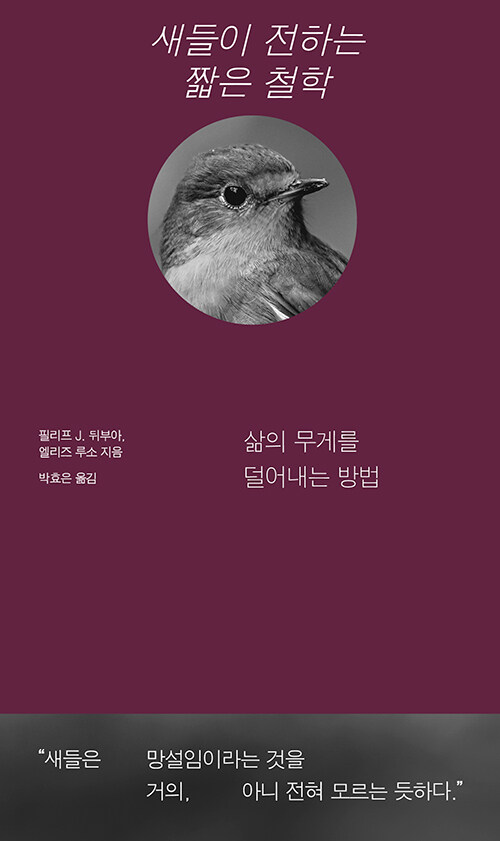 힘을 빼는 법을 새에게서 배우다, 『새들이 전하는 짧은 철학』 출간(필리프 제이 뒤부아, 엘리즈 루소, 북스톤)