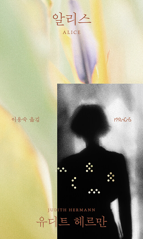 사라진 사람의 자리를 견디는 법, 『알리스』 (유디트 헤르만, 마라카스)
