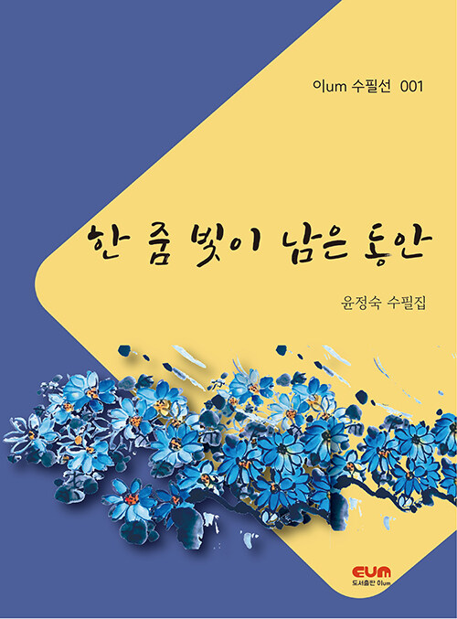 한 줌 빛이 남은 동안.jpg