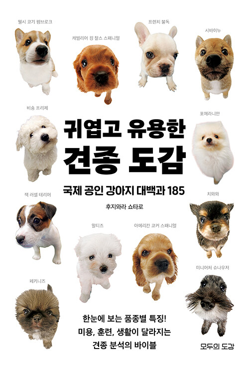 전 세계 강아지를 한 권에 담다, 『귀엽고 유용한 견종 도감』 (후지와라 쇼타로, 모두의도감)
