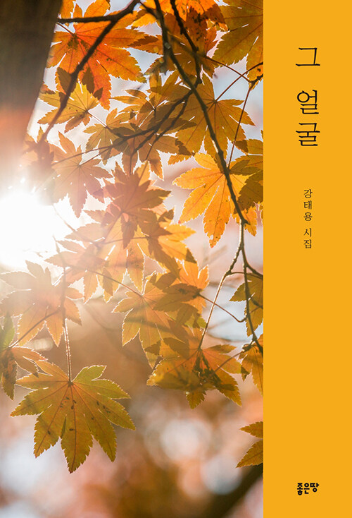 흘러간 시간 속 얼굴을 다시 마주하다, 『그 얼굴』 (강태용, 좋은땅)
