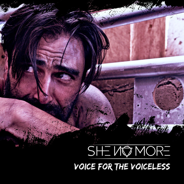 Voice For The Voiceless
