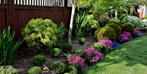 Flower bed & Garden design